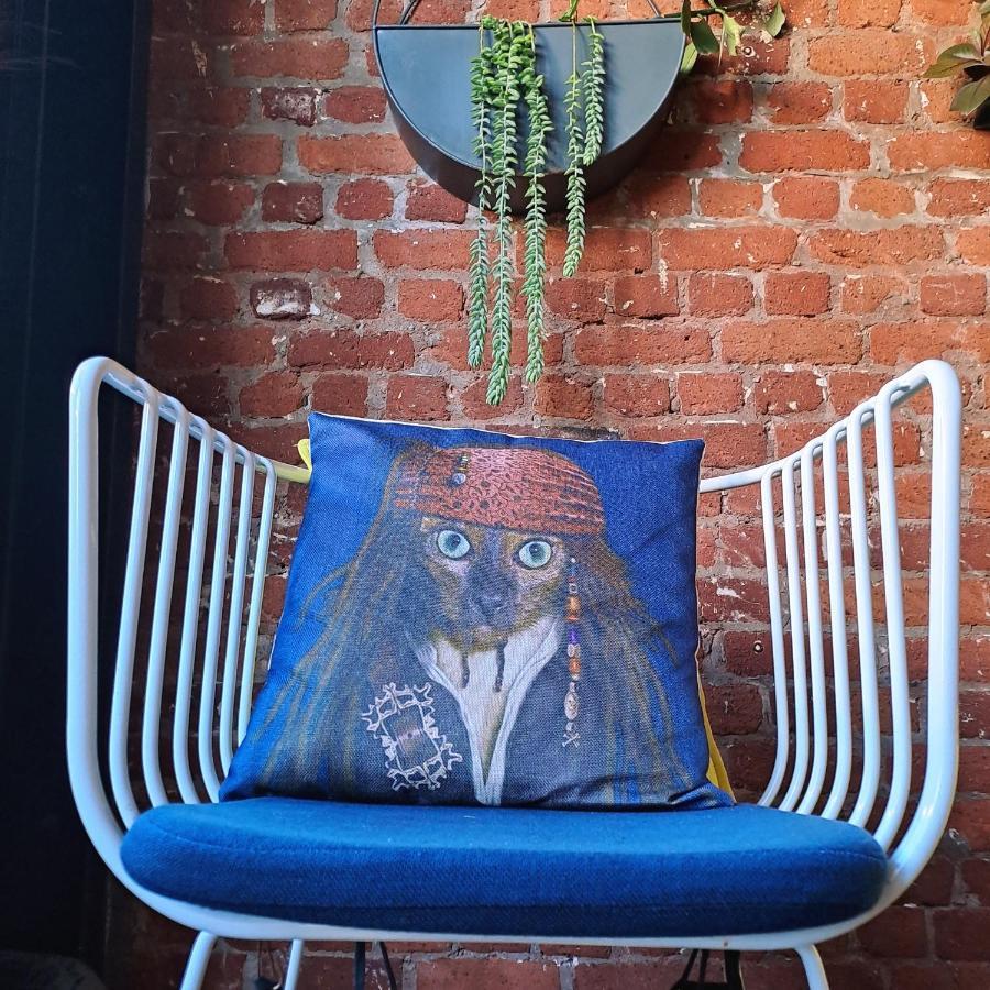 Pet-Friendly City Loft Apartment Le Cap Extérieur photo